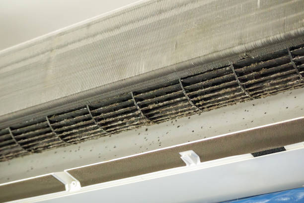 Best Air Duct Cleaning Near Me  in Mount Pleasant, TN